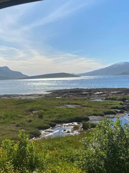 Vikran Apartments Na Koncu Swiata Exteriör bild
