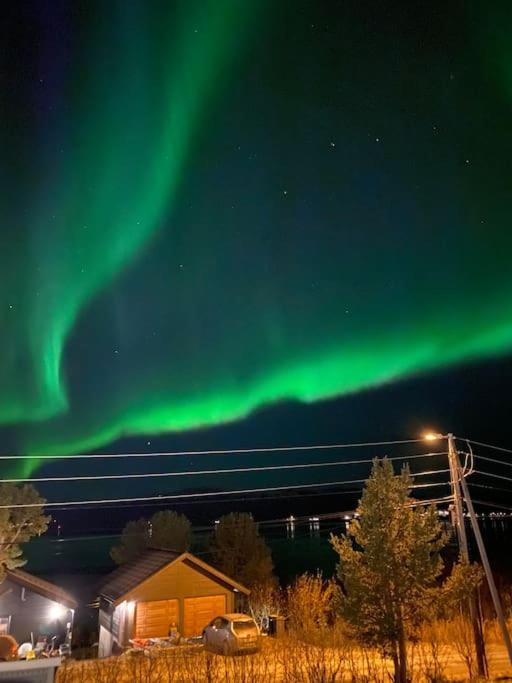 Vikran Apartments Na Koncu Swiata Exteriör bild