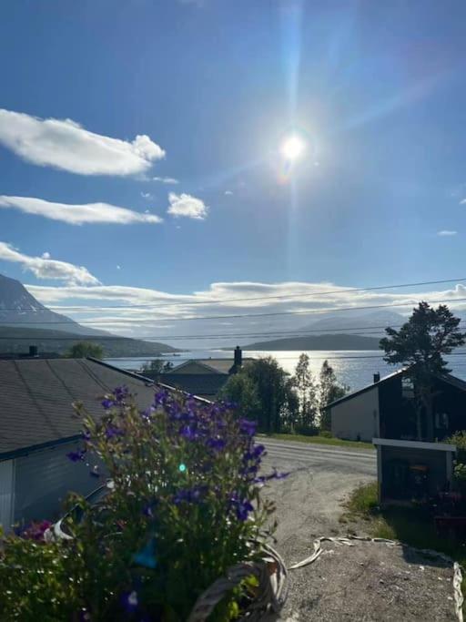 Vikran Apartments Na Koncu Swiata Exteriör bild