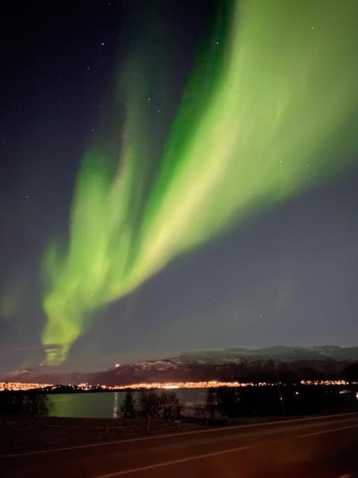 Vikran Apartments Na Koncu Swiata Exteriör bild